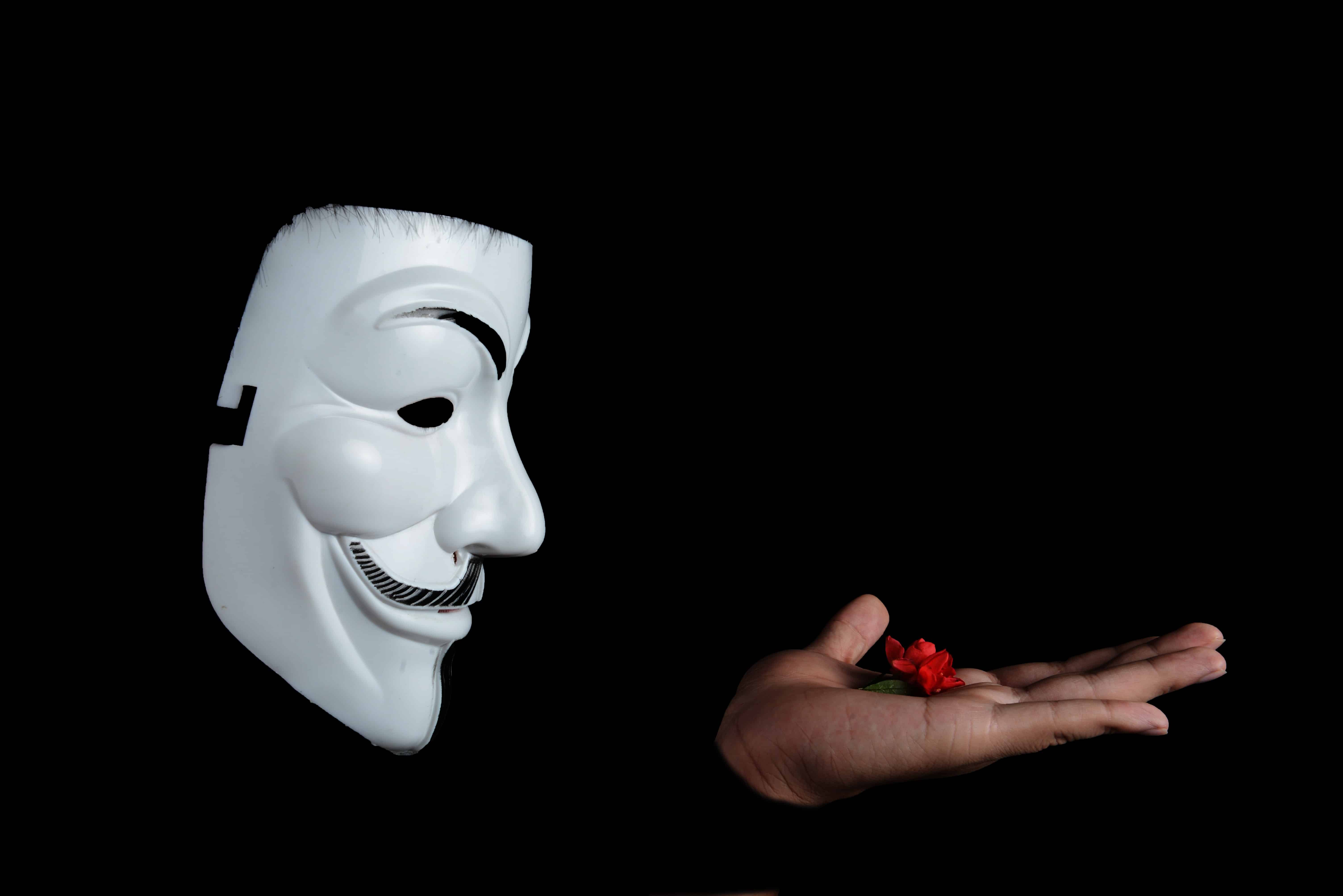 A person with an anonymouse mask holds a red flower in their palm